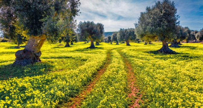 Frühlingslandschaft in Sizilien als Reiseziel im April