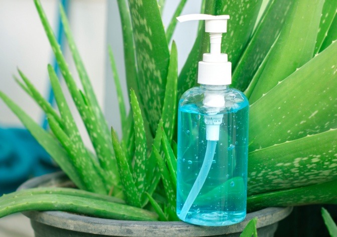 Aloe Vera Pflanze mit Desinfektionsmittel.