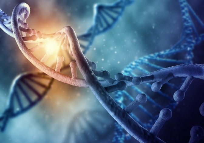 Ein DNA Strang ist auf einem blauen Hintergrund zu sehen