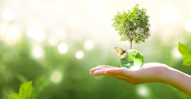 Eine Frau hat eine kleine Kristallerdkugel in der Hand, auf der ein Schmetterling sitzt und ein Baum wächst