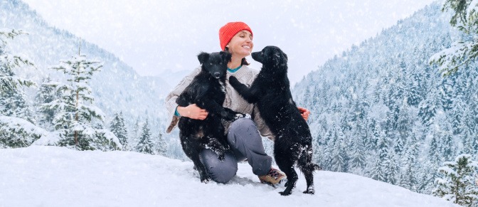 Junge Frau spielt mit ihren Hunden im Schnee