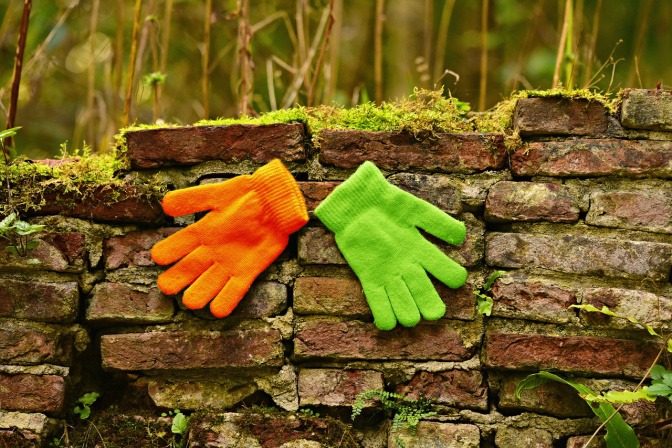 Ein grüner und ein orangefarbener Handschuh liegen auf einem morschen Baumstamm in einem Wald.