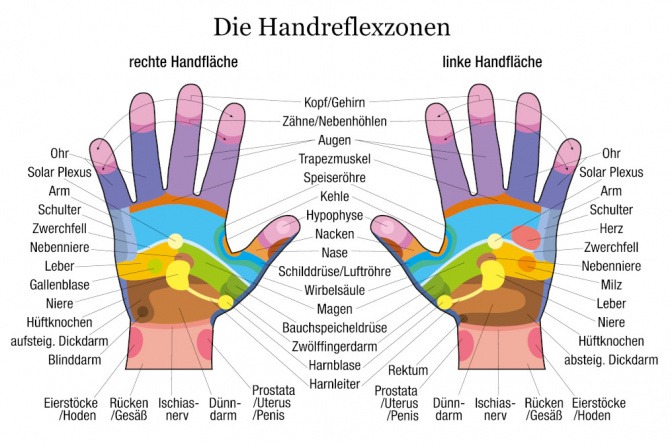 Grafik zeigt die Reflexzonen auf den Händen