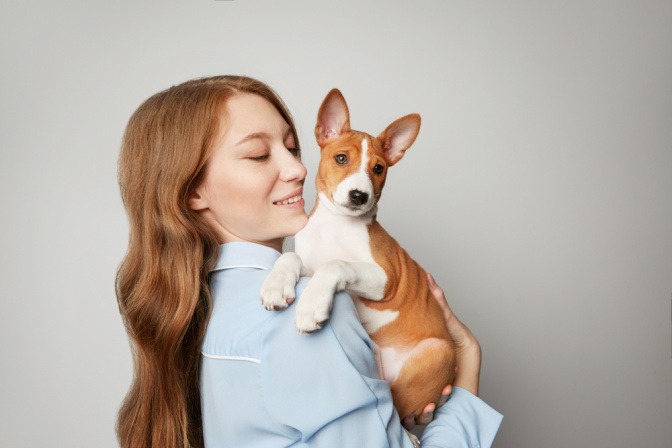 Basenji als Haustier für Allergiker