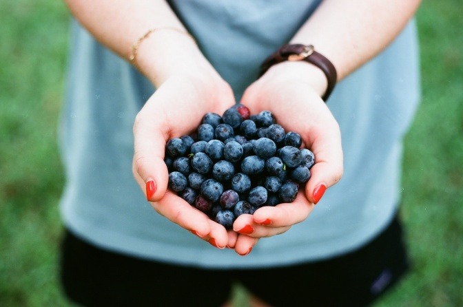 Eine Frau hält Heidelbeeren in den Händen