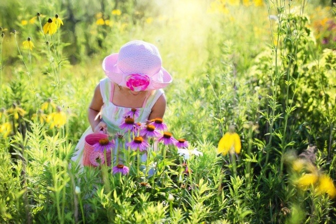 Ein Kind geht über eine Blumenwiese