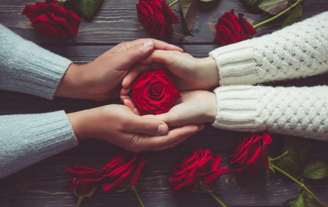 Ein Paar hat die Hände ineinander gelegt. In den Handflächen liegt eine prachtvolle Rosenblüte.