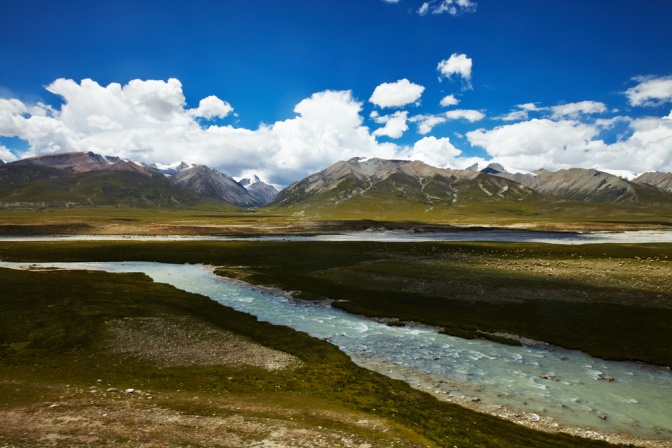 Raupenpilz Ursprung Hochland Tibet