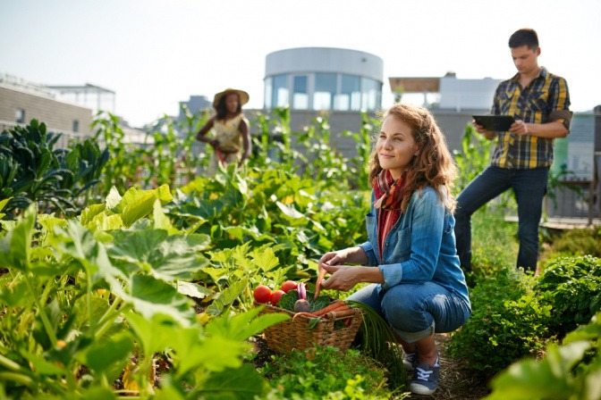 Junge Frau baut Gemüse in einem Gemeinschaftsgarten an.