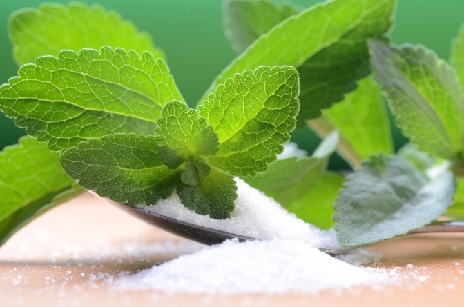 Stevia-Pulver und -Blatt