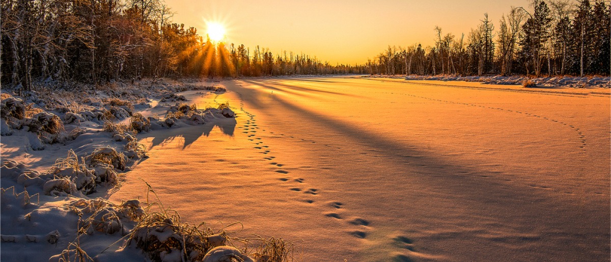 Verschneite Landschaft im Januar 2024