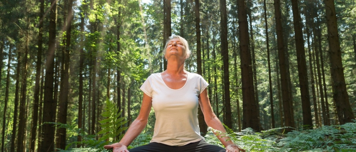 Frau beim Waldbaden in der Übung Meditation