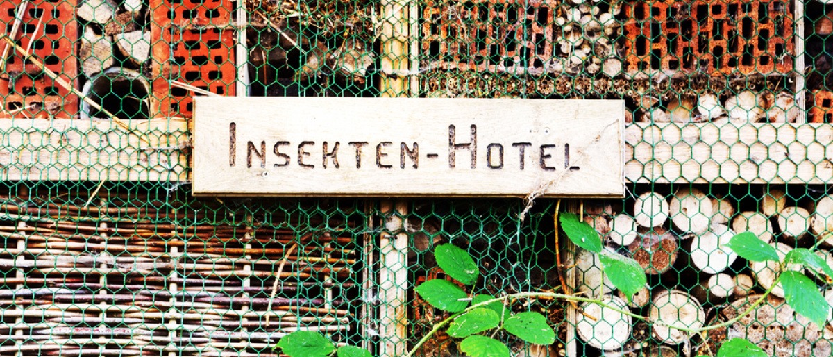 Selbst gebautes Insektenhotel