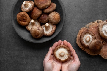 Shiitake Pilze zum Aufbewahren in einer Schüssel und in einer Hand.